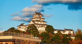 按摩（あんま）とは ？ 古代から続く癒しの手技